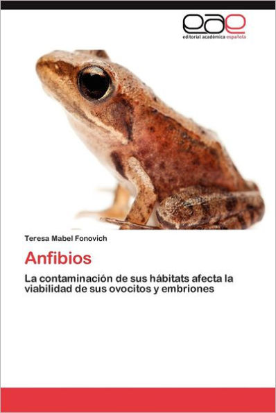 Anfibios