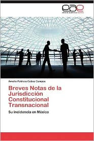 Breves Notas de La Jurisdiccion Constitucional Transnacional