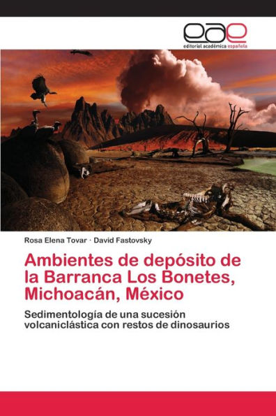 Ambientes de depósito de la Barranca Los Bonetes, Michoacán, México