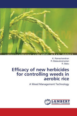 herbicides aerobic controlling efficacy weeds