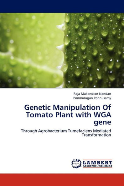 Genetic Manipulation Of Tomato Plant with WGA gene