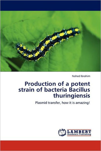 Production of a potent strain of bacteria Bacillus thuringiensis