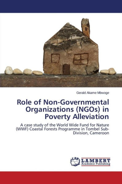 Role of Non-Governmental Organizations (Ngos) in Poverty Alleviation