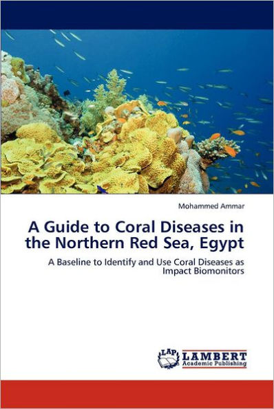 A Guide to Coral Diseases in the Northern Red Sea, Egypt