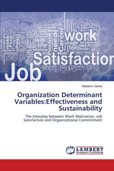Organization Determinant Variables: Effectiveness and Sustainability