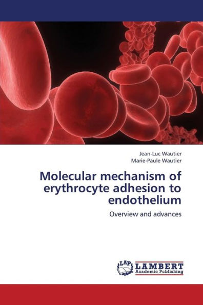 Molecular Mechanism of Erythrocyte Adhesion to Endothelium