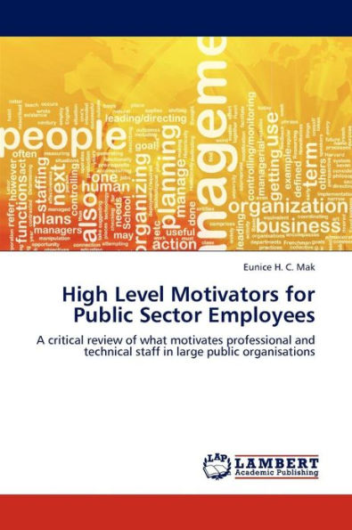 High Level Motivators for Public Sector Employees