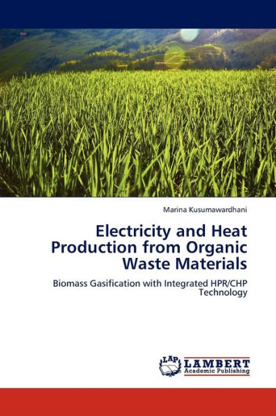Electricity and Heat Production from Organic Waste Materials