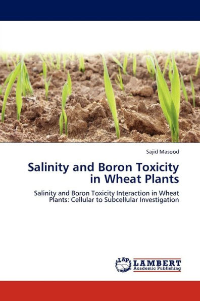 Salinity And Boron Toxicity In Wheat Plants By Masood Sajid, Paperback ...