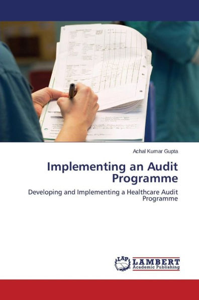 Implementing an Audit Programme