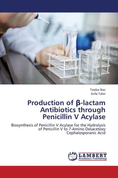 Production of -Lactam Antibiotics Through Penicillin V Acylase