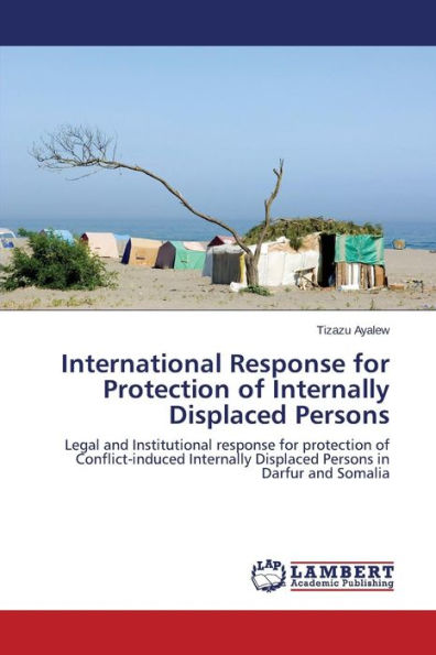 International Response for Protection of Internally Displaced Persons