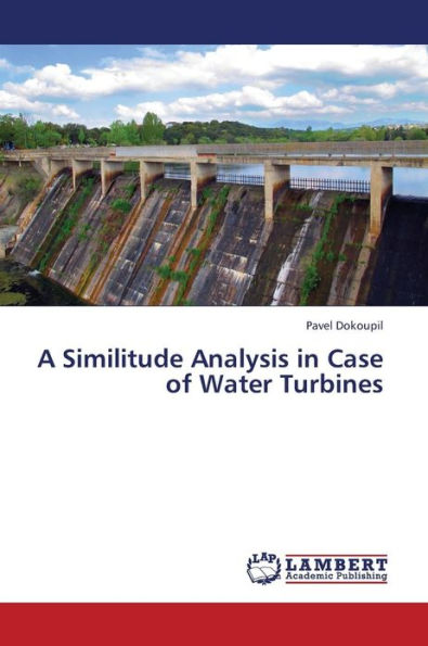 A Similitude Analysis in Case of Water Turbines