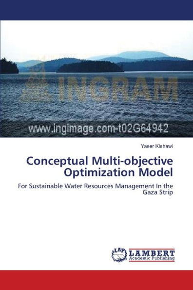 Conceptual Multi-objective Optimization Model