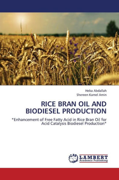Rice Bran Oil and Biodiesel Production
