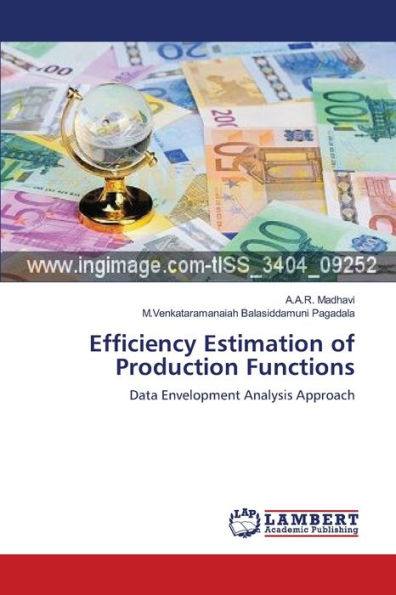 Efficiency Estimation of Production Functions