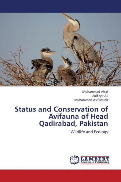 Status and Conservation of Avifauna of Head Qadirabad, Pakistan