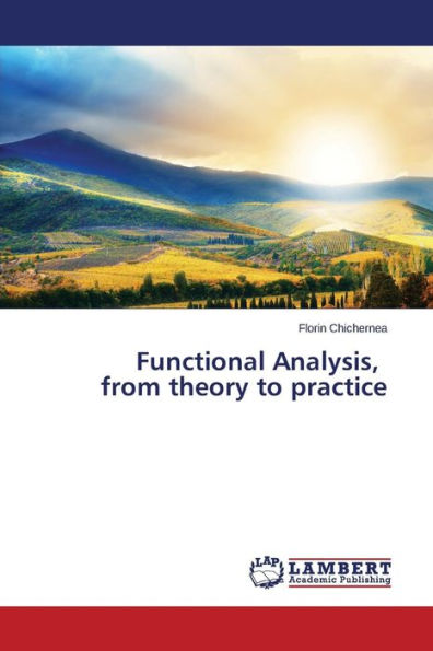 Functional Analysis, from Theory to Practice