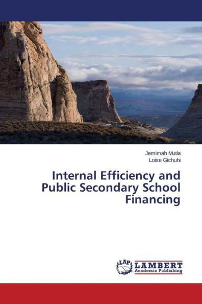 Internal Efficiency and Public Secondary School Financing