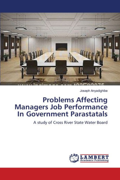 Problems Affecting Managers Job Performance In Government Parastatals