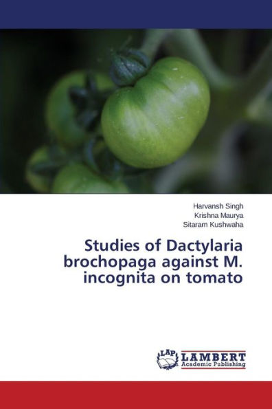 Studies of Dactylaria Brochopaga Against M. Incognita on Tomato