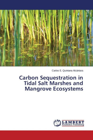 Carbon Sequestration in Tidal Salt Marshes and Mangrove Ecosystems