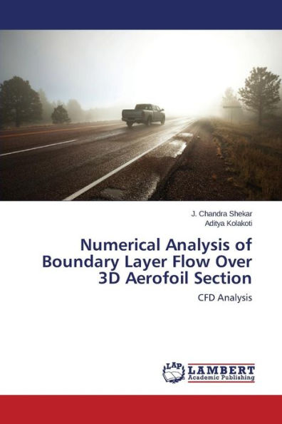 Numerical Analysis of Boundary Layer Flow Over 3D Aerofoil Section