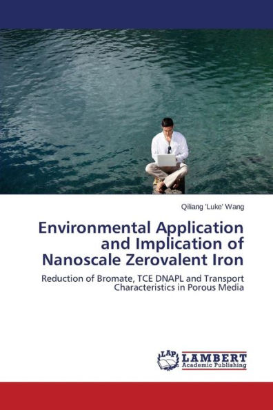 Environmental Application and Implication of Nanoscale Zerovalent Iron