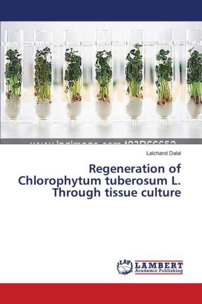 Regeneration of Chlorophytum tuberosum L. Through tissue culture