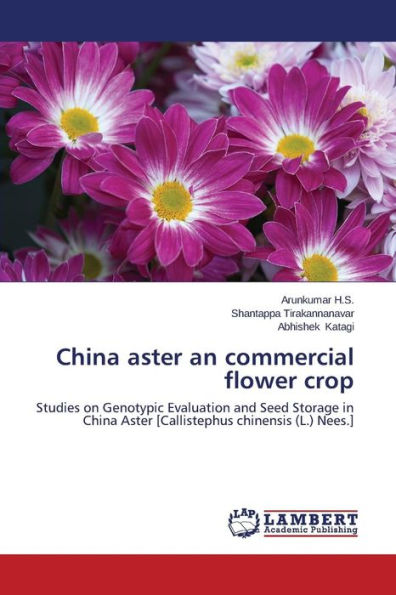 China aster an commercial flower crop