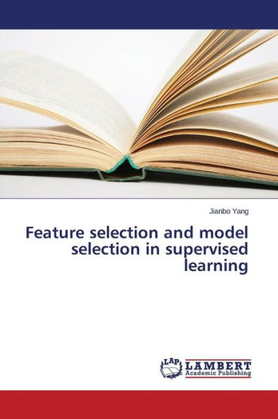 Feature selection and model selection in supervised learning