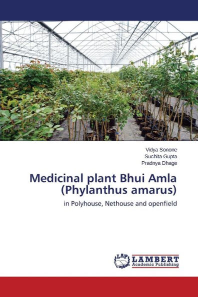 Medicinal plant Bhui Amla (Phylanthus amarus)