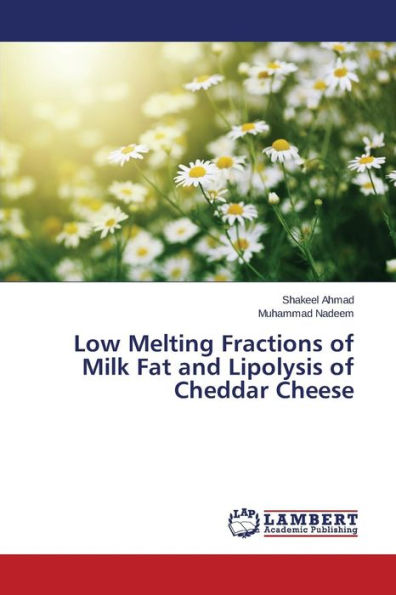 Low Melting Fractions of Milk Fat and Lipolysis of Cheddar Cheese