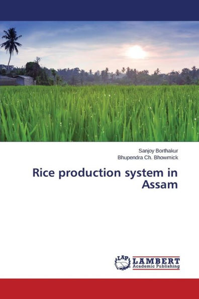 Rice production system in Assam