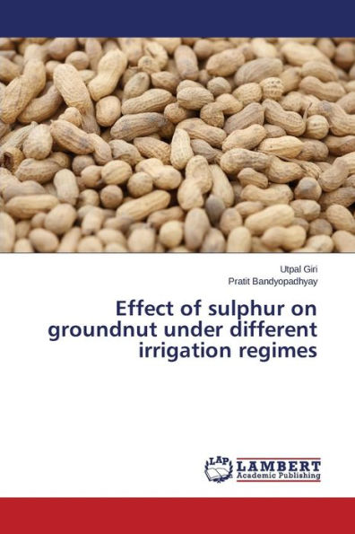 Effect of sulphur on groundnut under different irrigation regimes