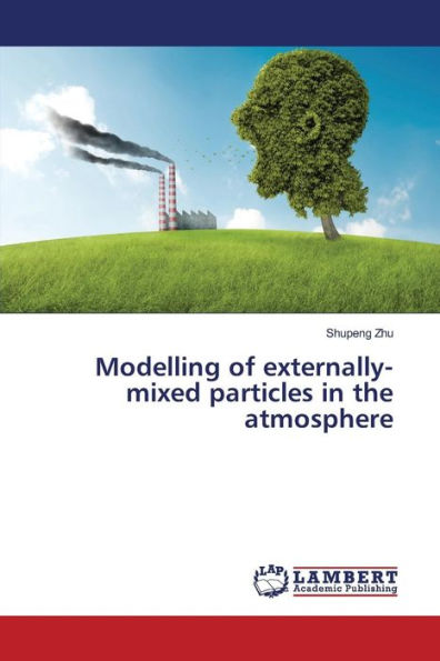 Modelling of externally-mixed particles in the atmosphere