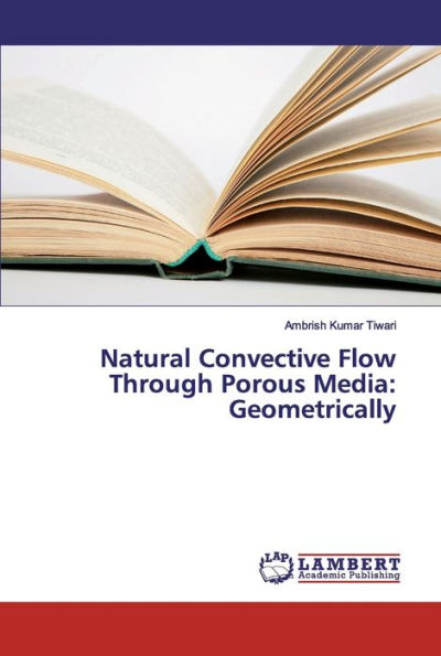 Natural Convective Flow Through Porous Media: Geometrically