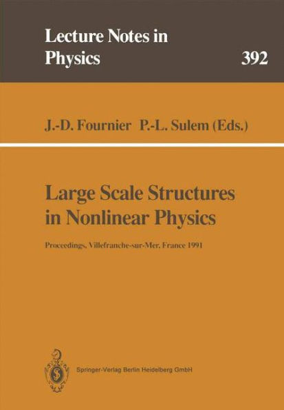 Large Scale Structures in Nonlinear Physics: Proceedings of a Workshop Held in Villefranche-sur-Mer, France, 13-18 January 1991