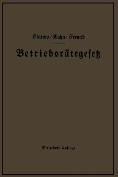Betriebsrätegesetz vom 4. Februar 1920 nebst Wahlordnung, Ausführungsverordnungen und Ergänzungsgesetzen (Betriebsbilanzgesetz, Aufsichtsratsgesetz und Wahlordnung): unter Berücksichtigung des Gesetzes vom 28. Febr. 1928