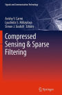 Compressed Sensing & Sparse Filtering