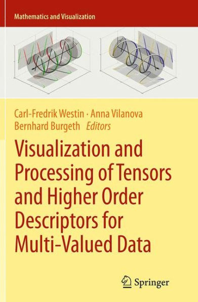 Visualization and Processing of Tensors Higher Order Descriptors for Multi-Valued Data