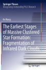 The Earliest Stages of Massive Clustered Star Formation: Fragmentation of Infrared Dark Clouds