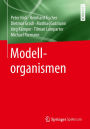 Modellorganismen