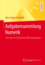 Aufgabensammlung Numerik: mit mehr als 250 gelösten Übungsaufgaben