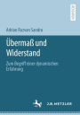 Übermaß und Widerstand: Zum Begriff einer dynamischen Erfahrung