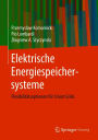 Elektrische Energiespeichersysteme: Flexibilitätsoptionen für Smart Grids