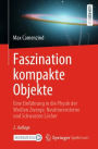 Faszination kompakte Objekte: Eine Einfï¿½hrung in die Physik der Weiï¿½en Zwerge, Neutronensterne und Schwarzen Lï¿½cher