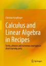 Calculus and Linear Algebra in Recipes: Terms, phrases and numerous examples in short learning units