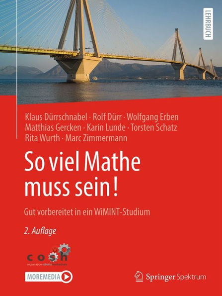 So viel Mathe muss sein!: Gut vorbereitet in ein WiMINT-Studium