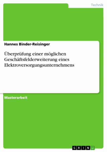 Überprüfung einer möglichen Geschäftsfelderweiterung eines Elektroversorgungsunternehmens